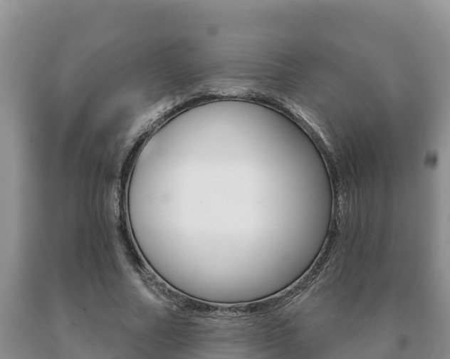 X0000091070682200708061023