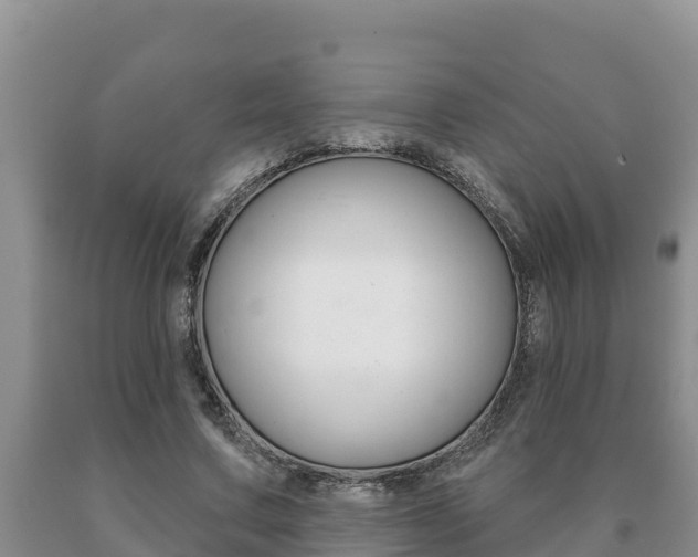 X0000091070683200708061023