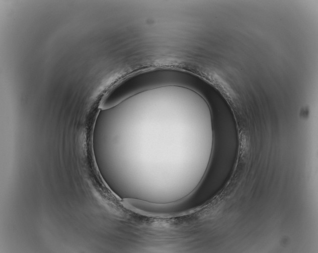 X0000091070684200708061023
