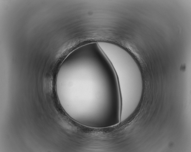 X0000091070685200708061023