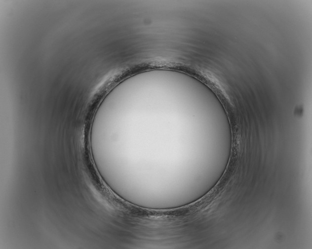 X0000091070686200708061023
