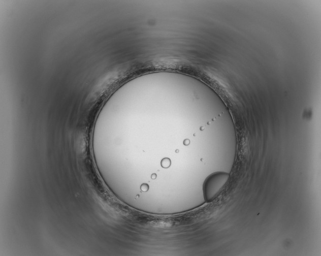 X0000091070687200708061023
