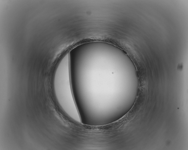 X0000091070688200708061023