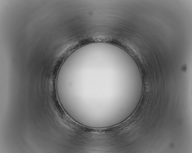 X0000091070690200708061023