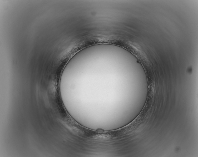 X0000091070691200708061023