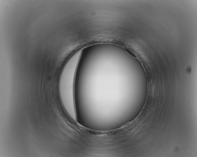 X0000091070692200708061023
