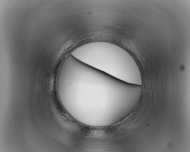 X0000091070694200708061023