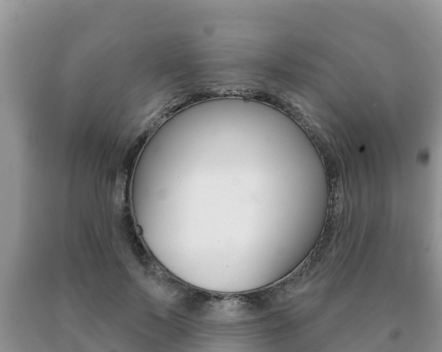 X0000091070695200708061023