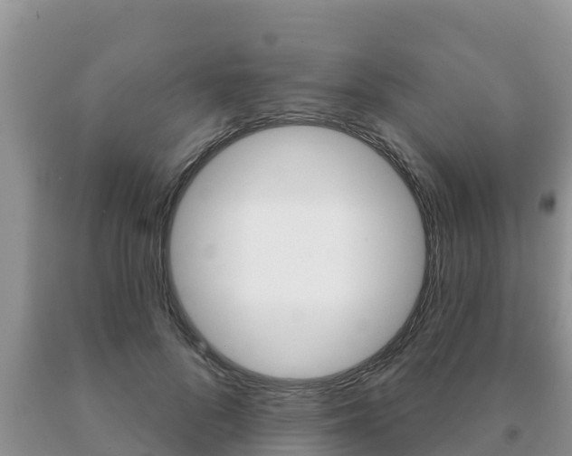 X0000091070696200708061023