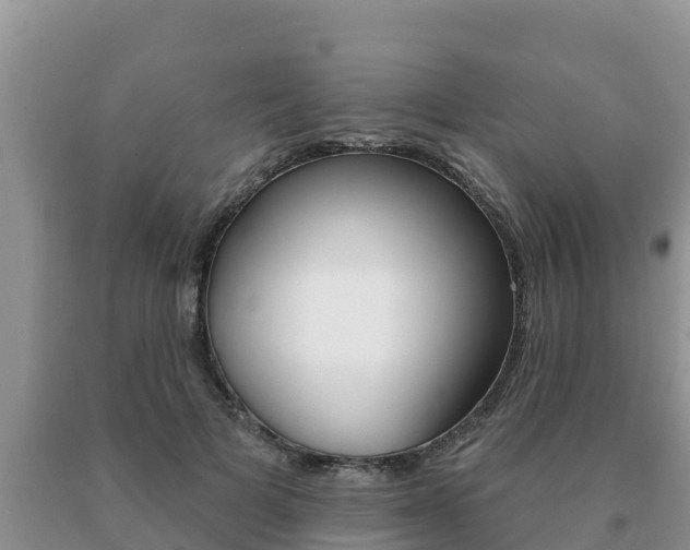 X0000091070697200708061023
