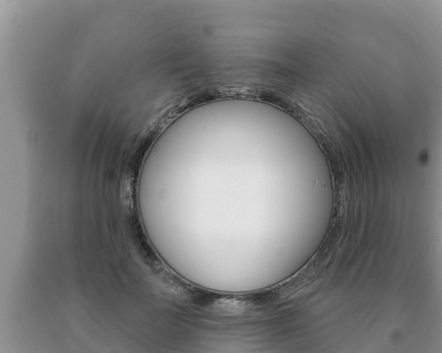X0000091070699200708061023