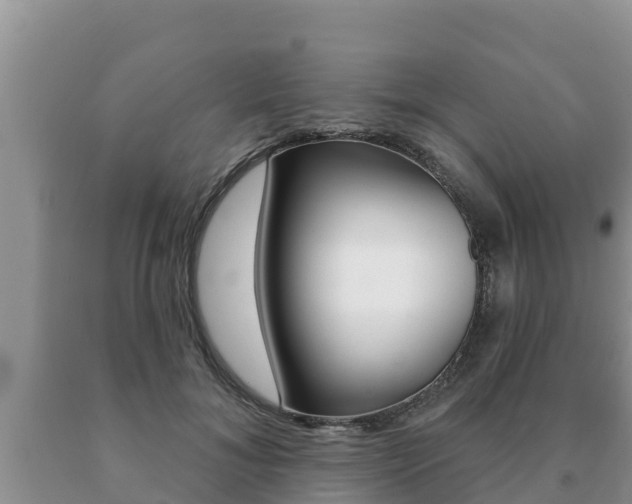 X0000091070700200708061023