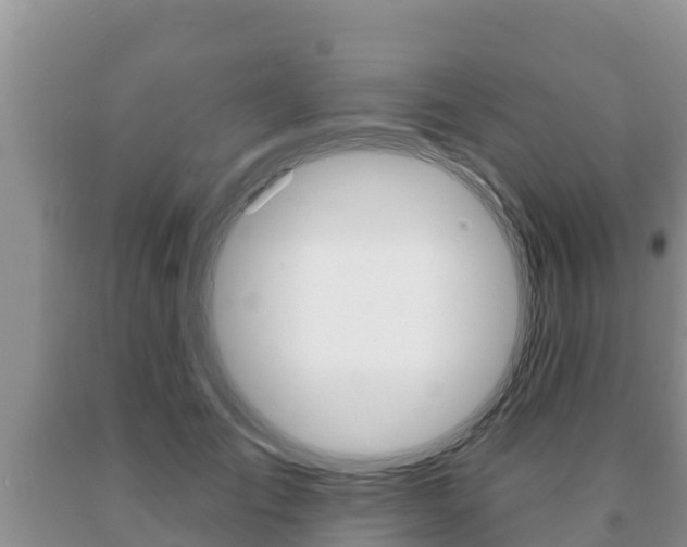 X0000091070701200708061023