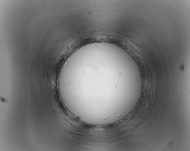 X0000091070702200708061023