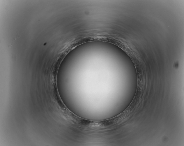 X0000091070704200708061023