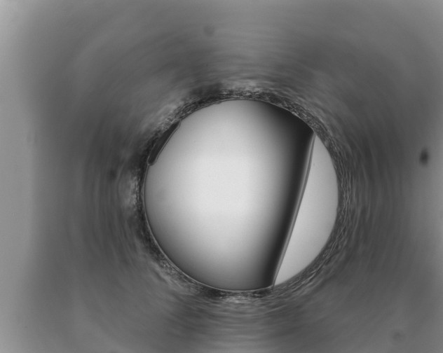 X0000091070708200708061023