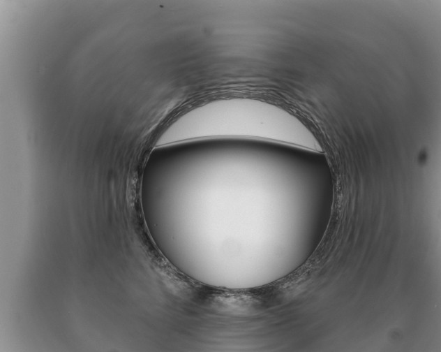 X0000091070712200708061023