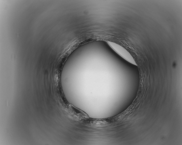 X0000091070716200708061023