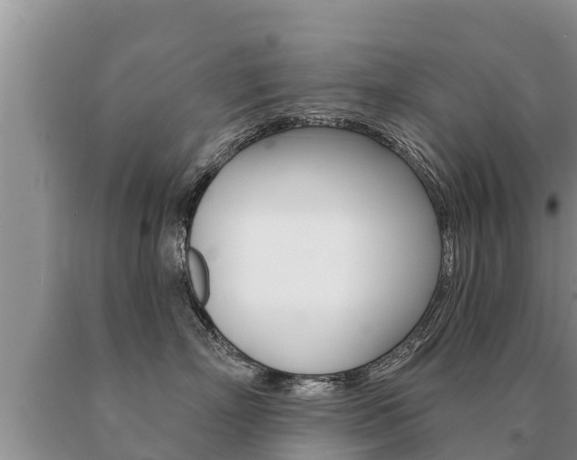 X0000091070718200708061023