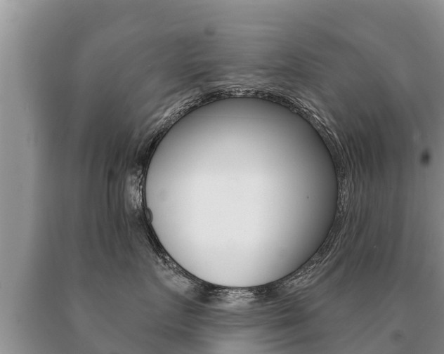 X0000091070719200708061023