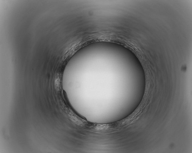 X0000091070720200708061023