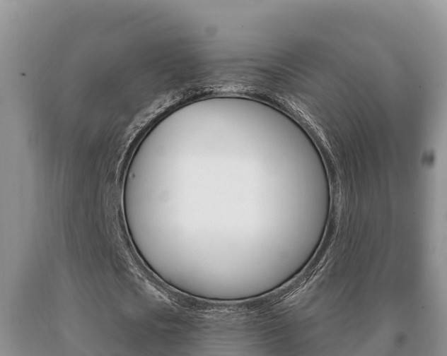 X0000091070721200708061022