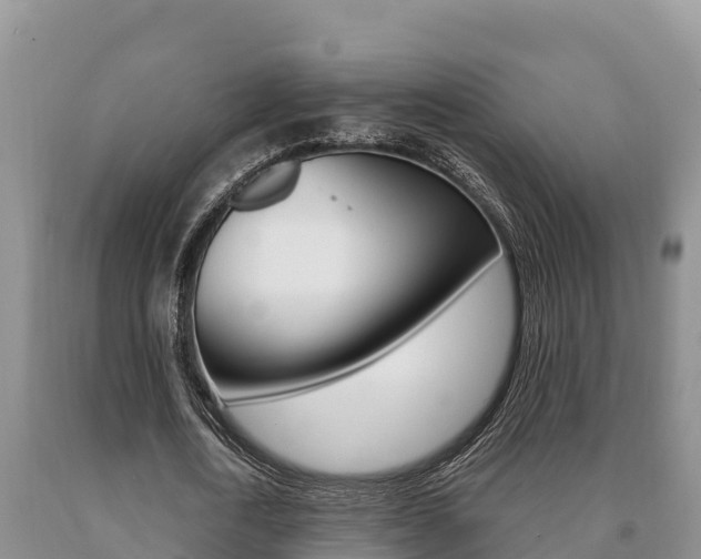 X0000091070722200708061022