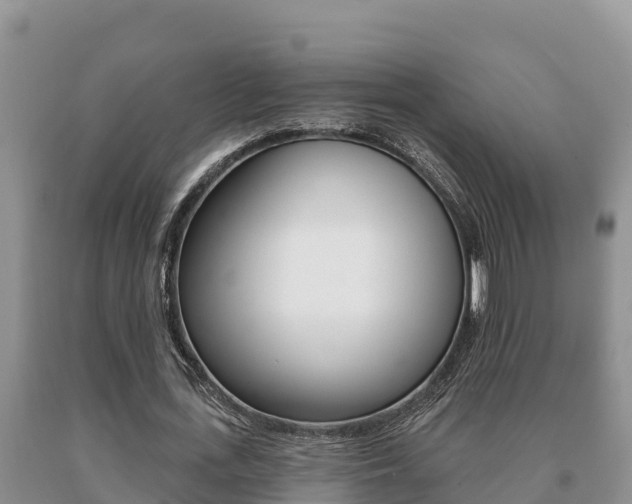 X0000091070723200708061022