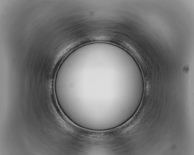 X0000091070725200708061022