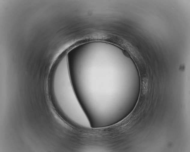 X0000091070726200708061022