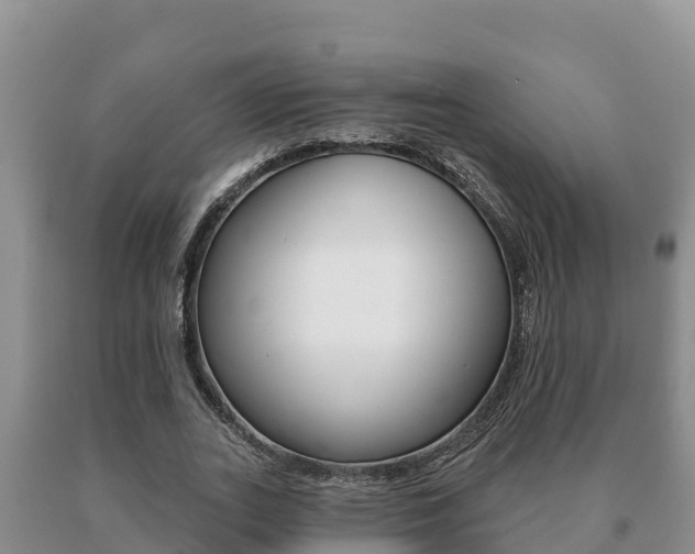 X0000091070727200708061022