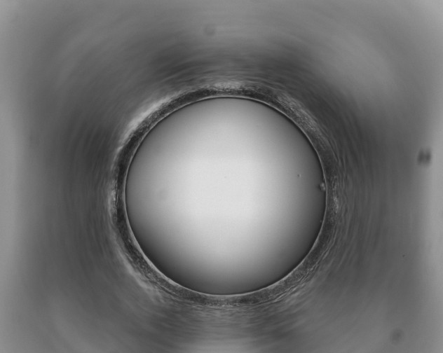 X0000091070728200708061022