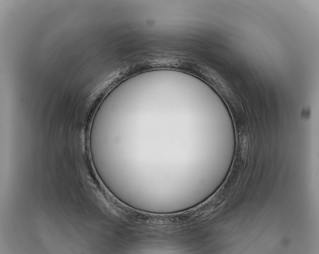 X0000091070729200708061022