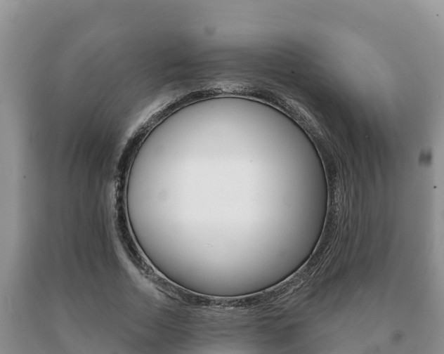 X0000091070730200708061022