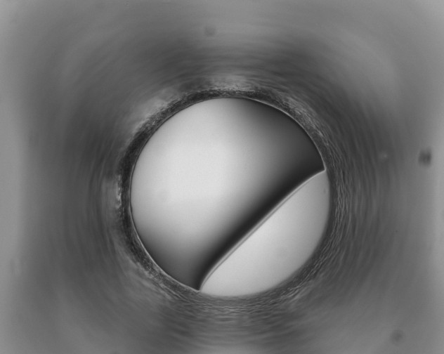 X0000091070731200708061022