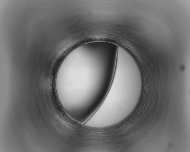 X0000091070732200708061022