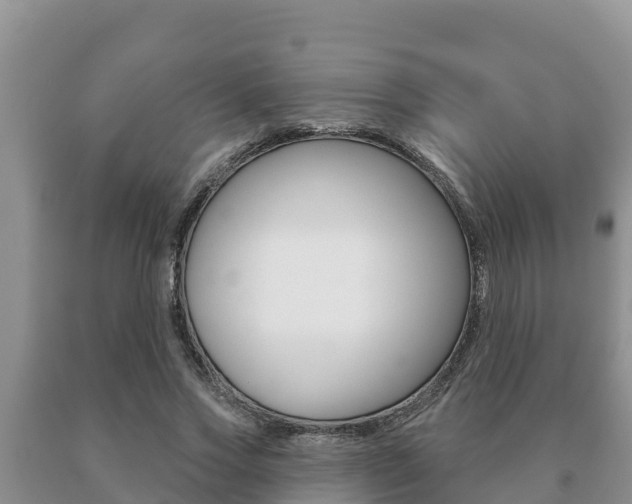 X0000091070733200708061022