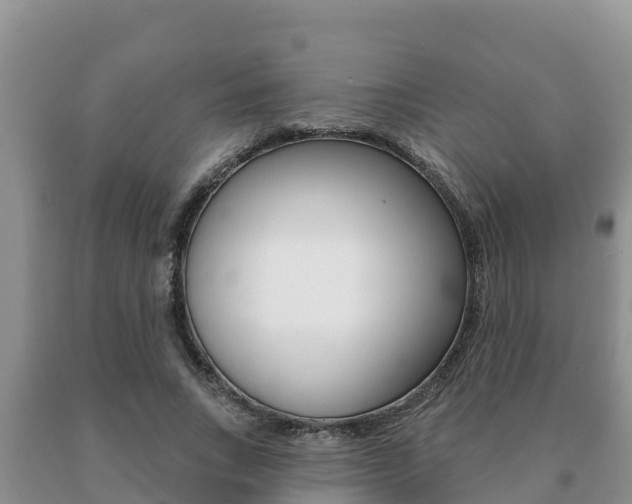 X0000091070735200708061022