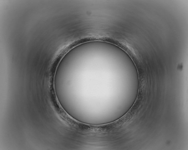 X0000091070736200708061022