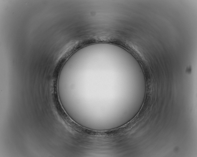 X0000091070738200708061022