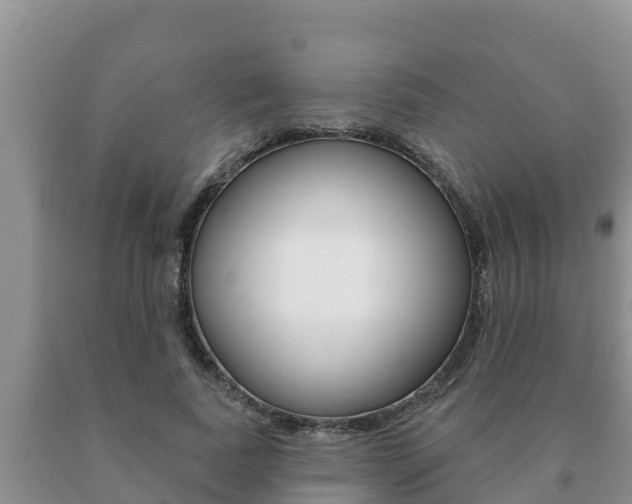 X0000091070739200708061022