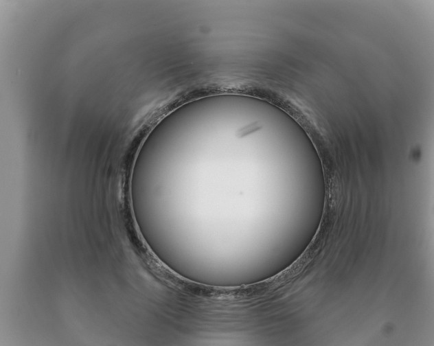X0000091070740200708061022