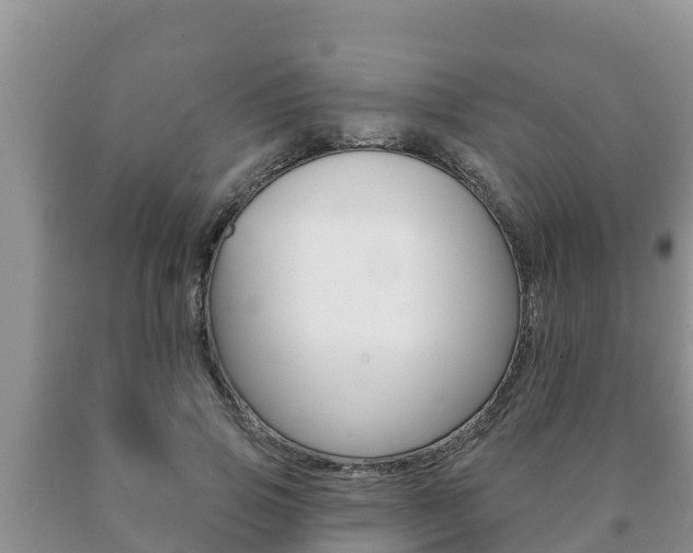 X0000091070741200708061022