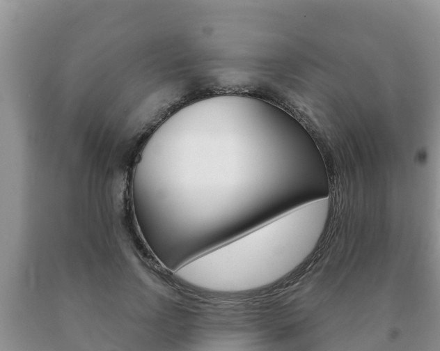 X0000091070742200708061022
