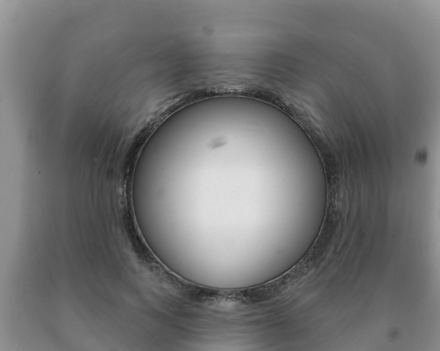 X0000091070743200708061022