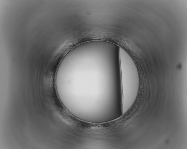 X0000091070744200708061022