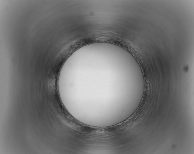 X0000091070745200708061022