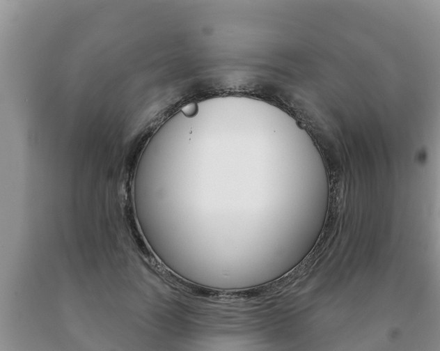 X0000091070746200708061022