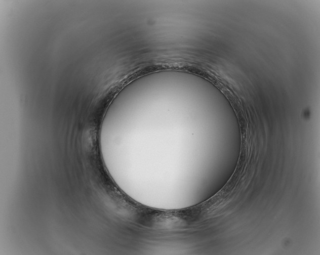 X0000091070747200708061022
