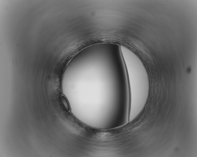 X0000091070748200708061022